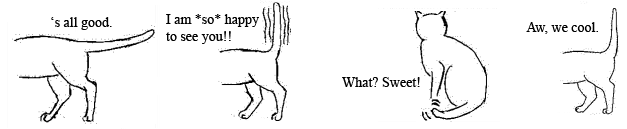 Diagrams of cat tails when the cat is happy